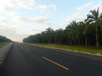 samana-r